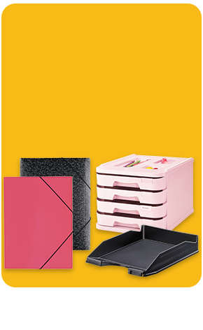 Organização e Classificação