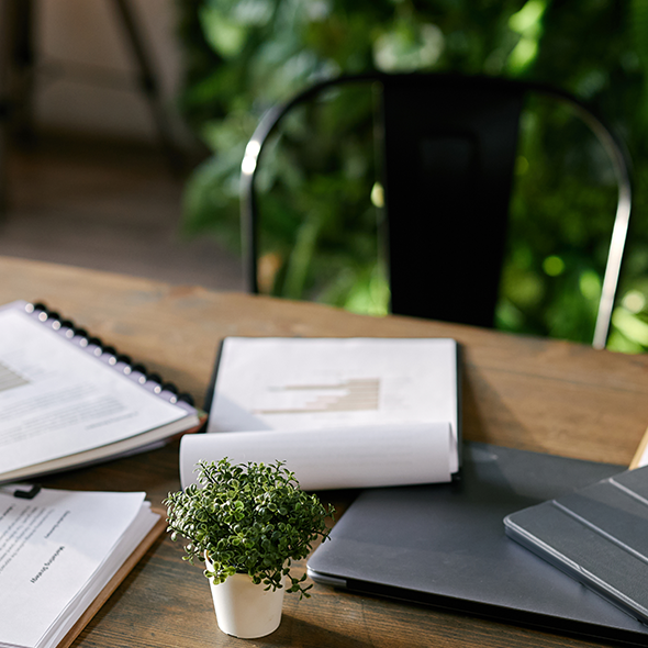 O material tem sempre razão - O mito do “desenrasca”