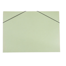 CARTONEX Pasta de Arquivo 181-C, Cartolina, 310 x 235 mm, com Caixa, Verde