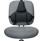 FELLOWES Excelente apoio para as costas Professional Series™, preto