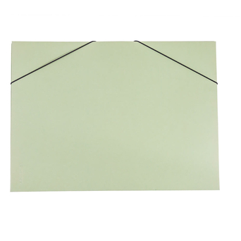 CARTONEX Pasta de Arquivo 181-C, Cartolina, 310 x 235 mm, com Caixa, Verde