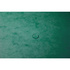 EXACOMPTA Pasta A4 de 3 abas com elásticos Nature Future® para 250 folhas, 240 x 320 mm, Cartão, Verde