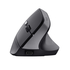 Trust Rato Vertical Ergonómico para Mão Direita Bayo II, sem Fios, 800-2400 DPI, Preto