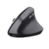 Trust Rato Vertical Ergonómico para Mão Direita Bayo II, sem Fios, 800-2400 DPI, Preto